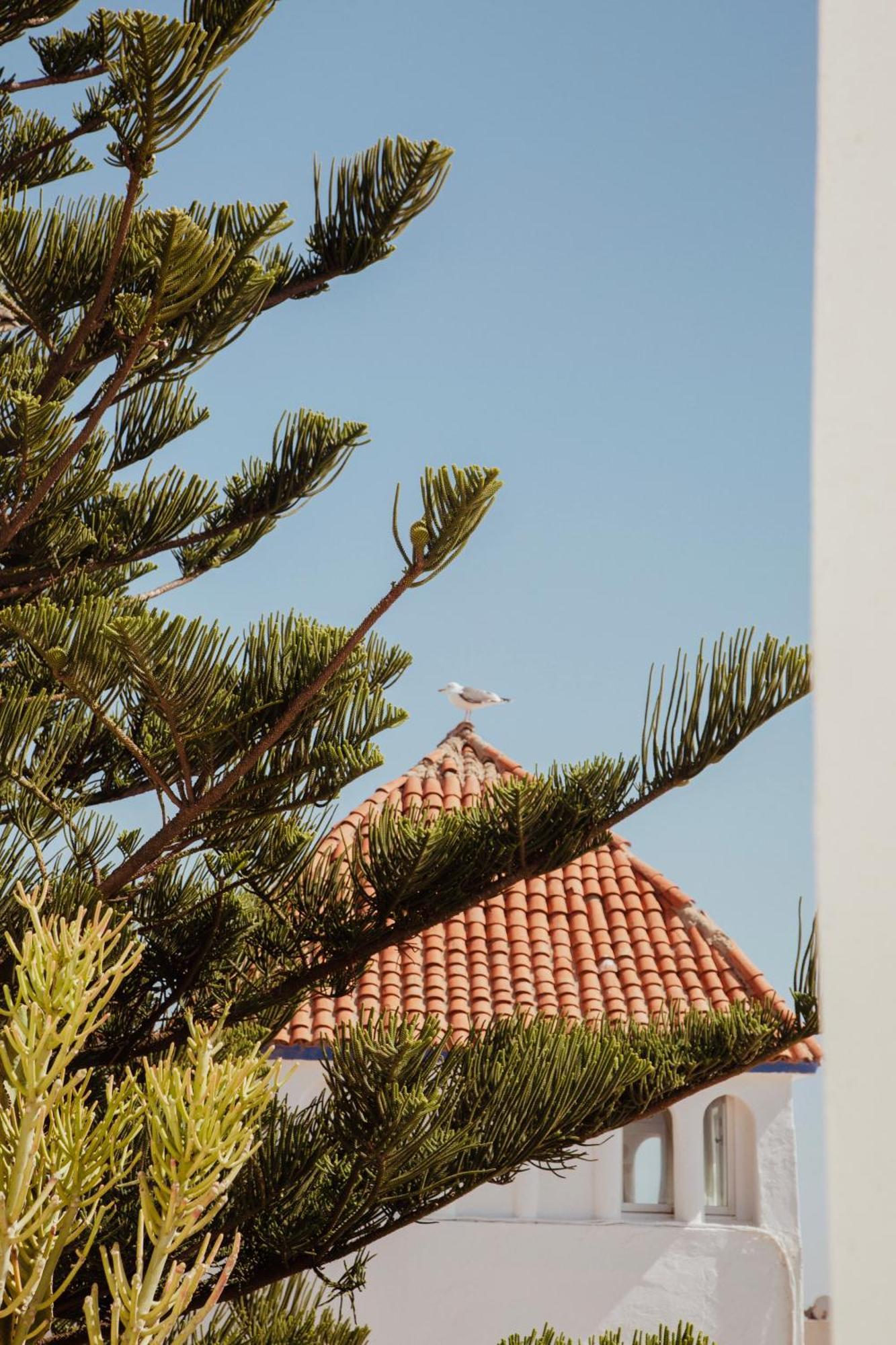 Villa Maroc Ес-Сувейра Екстер'єр фото