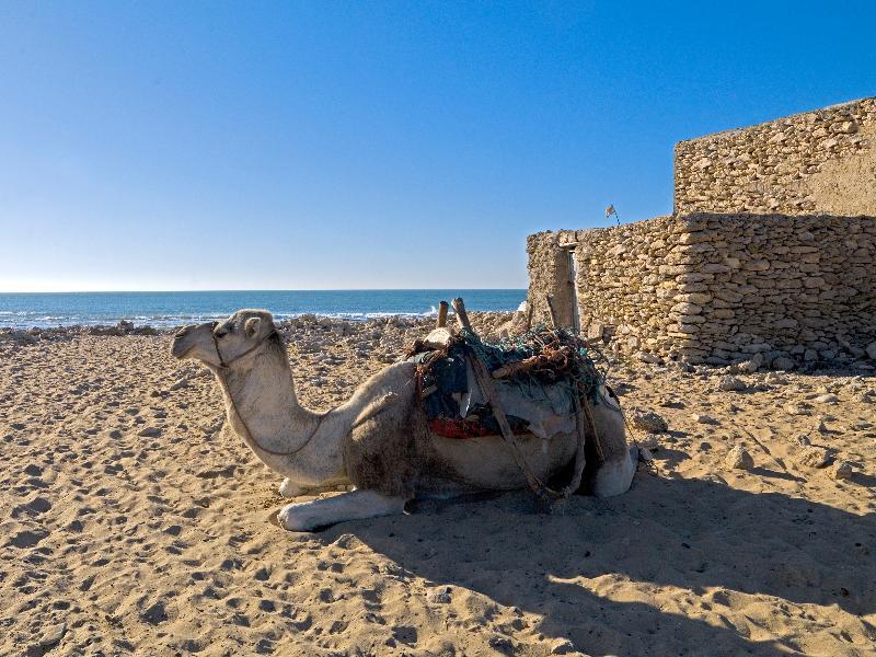 Villa Maroc Ес-Сувейра Екстер'єр фото